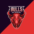 Bulls head mascot logo.