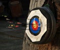 Bullseye with many arrows