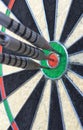 Bullseye Royalty Free Stock Photo