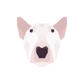 Low poly Bull Terrier head