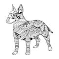 Bullterrier dog coloring book vector illustration