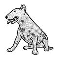 Bullterrier dog doodle