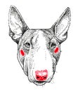 Bullterrier dog portrait. Print and pattern. Detailed animal drawing