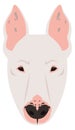 Bullterrier face. Funny cartoon dog head icon