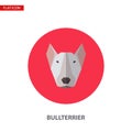 Bullterrier head vector flat icon on turquoise circular background.