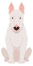 Bullterrier sitting cartoon icon. White dog breed