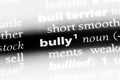 bully Royalty Free Stock Photo