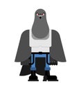 Bully Dove. Hooligan pigeon. hoodlum Bird. Vector illustration