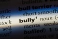 bully Royalty Free Stock Photo