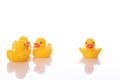 Bullying in social networks concept. toy ducklings discuss rumors, gossip