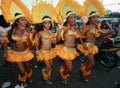 Bumba meu boi festival carnival brazil