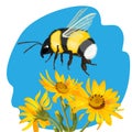 Bumble bee flying over yellow flowers on background of sky