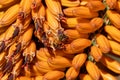 Bee pollinating orange aloe plant