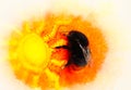 Bumble bee sitting on a bright orange cloth with sun pattern and softly blurred watercolor background.