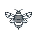 Bumblebee Bee Icon