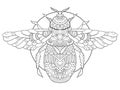 Bumblebee coloring book for adults vector