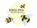 Bumblebee in flight, vector color drawing, vector drawing of a bee in watercolor, for flyer