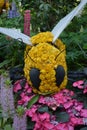 Bumblebee Flower