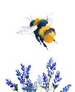 Bumblebee Flying Over Blue Flowers Watercolor Illustration Hand Drawn