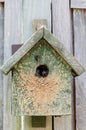 Bumblebee hive nest wooden man-made house shelter