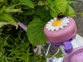 A bumblebee sitting on a take daisy flower bike bell Royalty Free Stock Photo