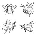 Bumblebee Vector Illustration Hand Drawn Animal Cartoon Art