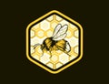 Bumblebee Vector Retro Emblem Illustration