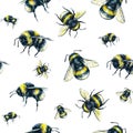 Bumblebee on a white background. Watercolor drawing. Insects art. Handwork. Seamless pattern