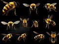 Ai Generated illustration Wildlife Concept of Bumblebees set Royalty Free Stock Photo