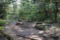 Bumper Cars, Pripyat Town in Chernobyl Exclusion Zone, Ukraine Royalty Free Stock Photo