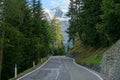 Bumpy concrete road crosses the quiet green forest with a view of the mountains. Royalty Free Stock Photo