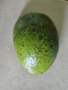 Bumpy Green Fruit avocado on Light Background Royalty Free Stock Photo