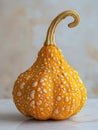 Bumpy orange gourd with a curved stem on a neutral background. Royalty Free Stock Photo
