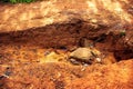 Bumpy road heavily eroded hill road Royalty Free Stock Photo