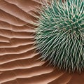 A bumpy and spiky texture with cactus needles and desert sand1, Generative AI
