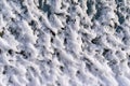 Bumpy texture of white snow on glass Royalty Free Stock Photo