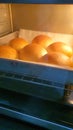 Bun bread fresh in the oven