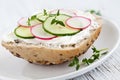 Bun with cucumber and radish Royalty Free Stock Photo