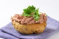 Bun with pate Royalty Free Stock Photo