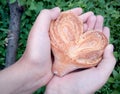 Bun in the shape of heart in the palms