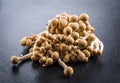 Buna Shimeji - edible mushroom from East Asia Royalty Free Stock Photo