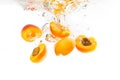 Bunch of apricots halves dropped into water Royalty Free Stock Photo