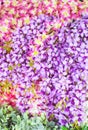 Bunch of artificial flower Royalty Free Stock Photo