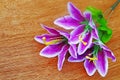 bunch of artificial purple flower on wooden background Royalty Free Stock Photo