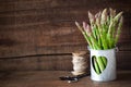 Bunch of asparagus Royalty Free Stock Photo