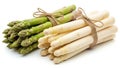 Bunch of asparagus, green and white, isolated on white background Royalty Free Stock Photo