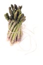 Bunch of Asparagus on white