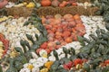 Bunch assorted gourds, zucchini, pumpkin and winter squash