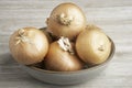 Authentic Sweet Southern Onions In A Ceramic Bowl Royalty Free Stock Photo
