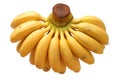 Bunch of baby banana Royalty Free Stock Photo